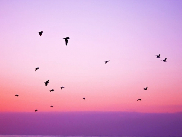 Where do you find solitude?
