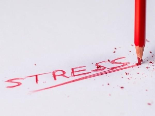 On a scale of 1 to 10 (with 10 being the highest), how stressed are you daily?