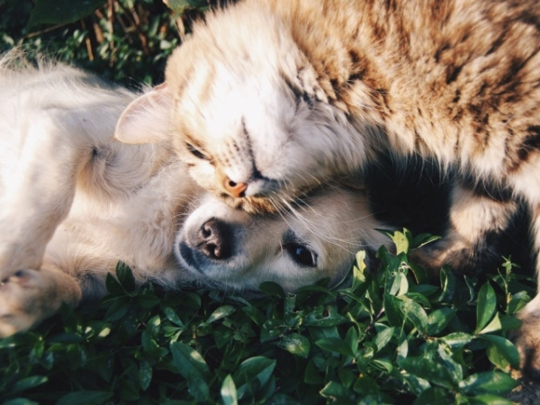 Are you loud, outgoing, or shy?