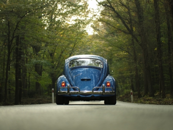 What kind of car do you drive?