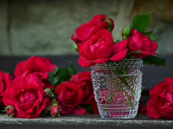 What would you most like to receive on a first date?