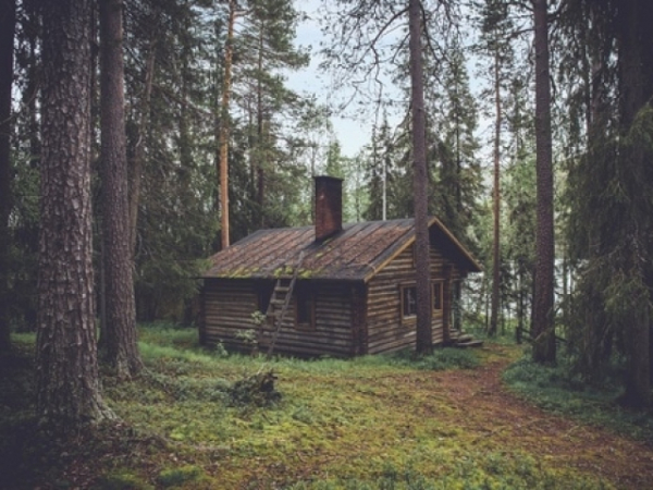 Where would you rather live?
