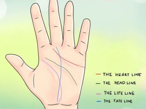 Which best describes your life line?
