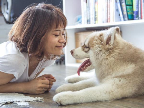 How many pets do you currently own?