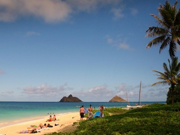 On a scale of 1-10, with 10 being the most, how much do you love being at the beach?