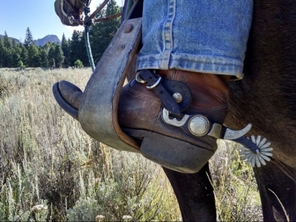 What is one thing a cowboy should always have?
