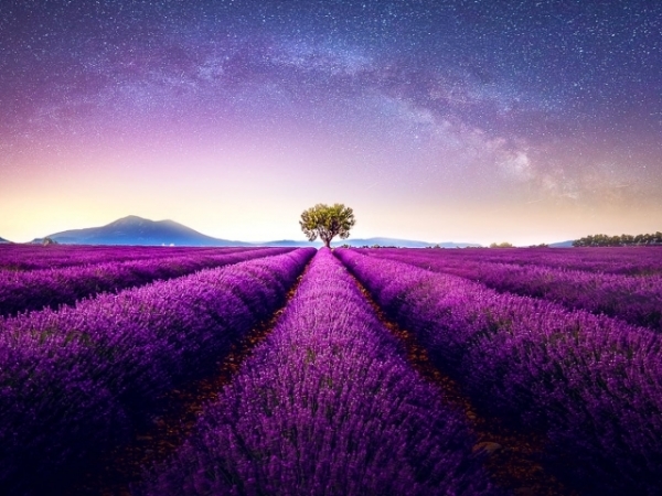 What is your favorite part of nature?