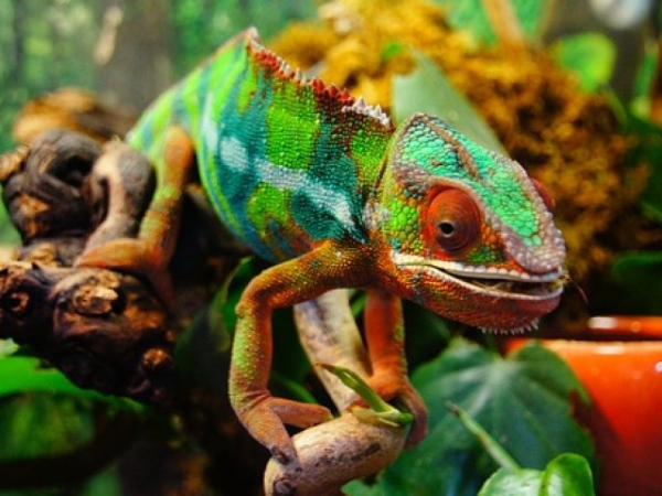 What fascinates you the most?