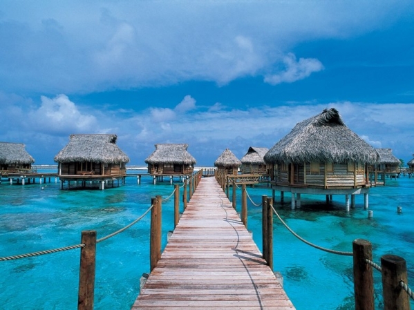 Where's your dream vacation spot?