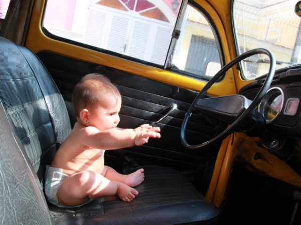 When going on a road trip with the family, who typically drives?