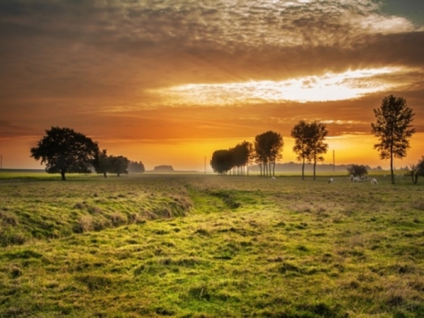 Choose a place to live