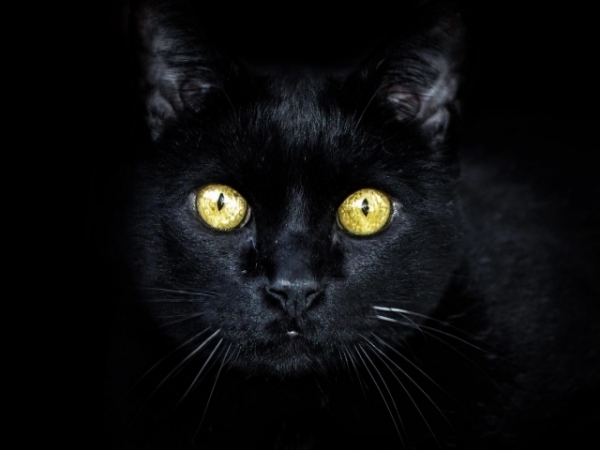 Are you a very superstitious person?
