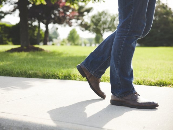 Would you rather go for a walk or read a book?
