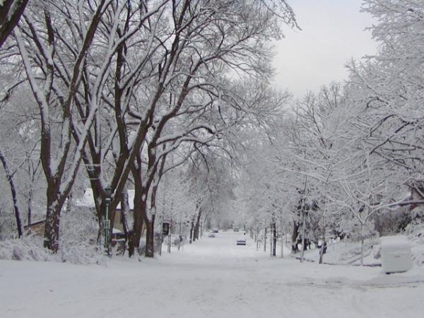 What type of weather do you enjoy most?
