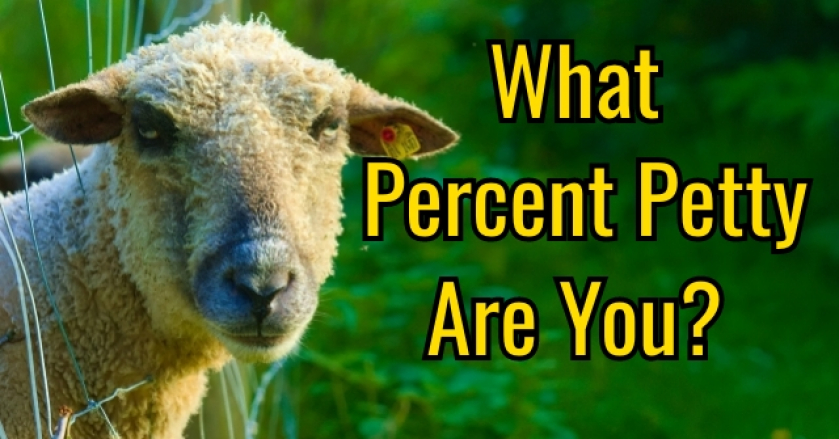 What Percent Petty Are You?