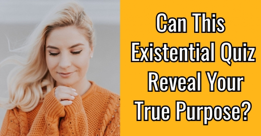 Can This Existential Quiz Reveal Your True Purpose?