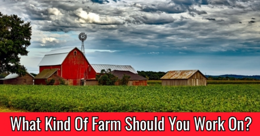 What Kind Of Farm Should You Work On?