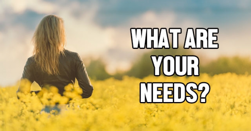 What Are Your Needs?