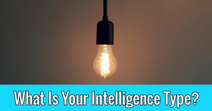What Is Your Intelligence Type?
