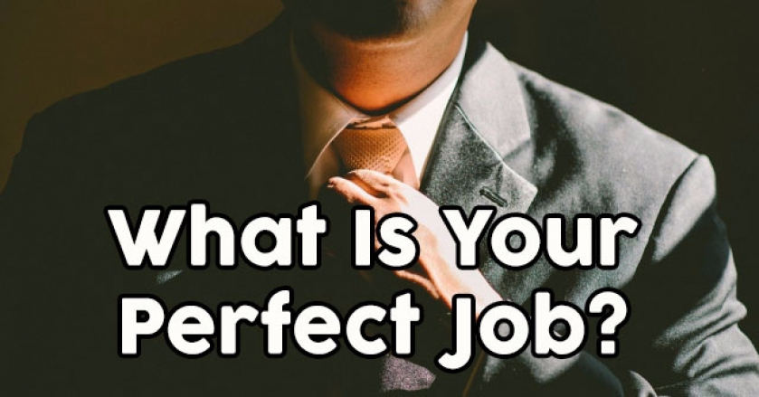 What Is Your Perfect Job?