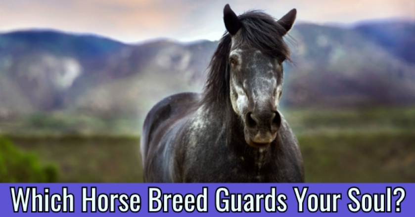 Which Horse Breed Guards Your Soul?