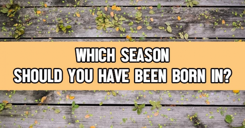 Which Season Should You Have Been Born In?