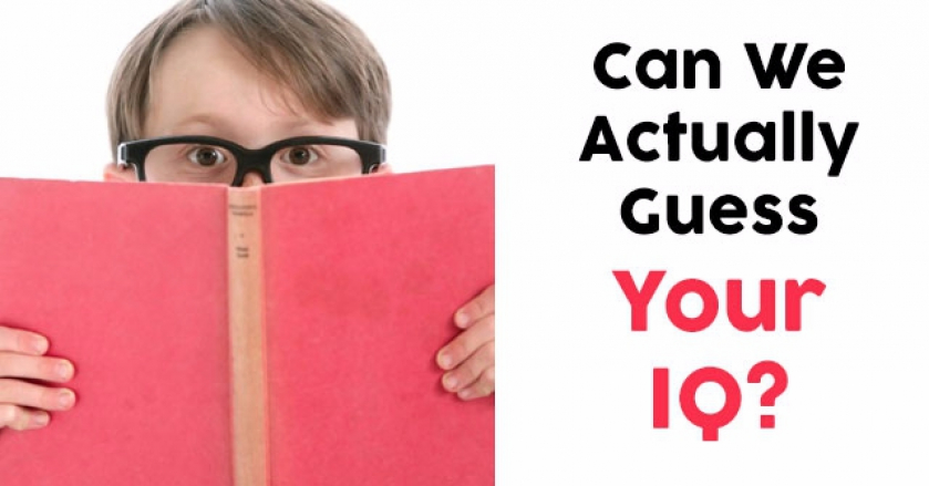 Can We Actually Guess Your IQ?