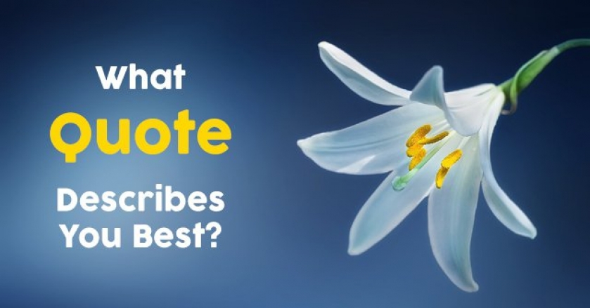 What Quote Describes You Best?