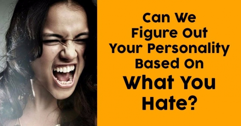 Can We Figure Out Your Personality Based On What You Hate?