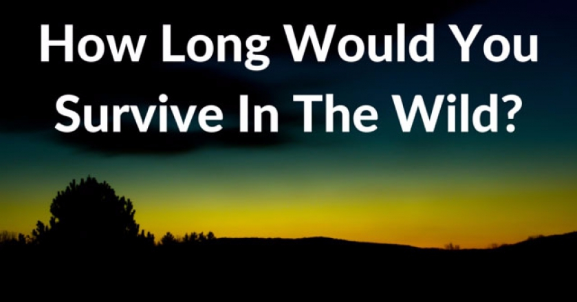 How Long Would You Survive In The Wild?