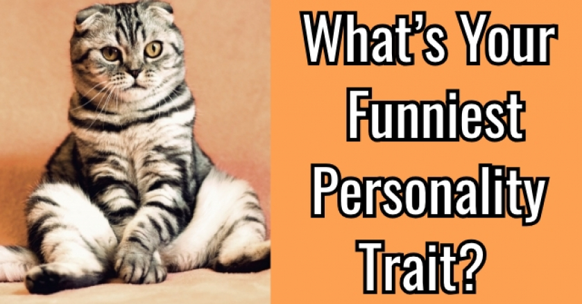 What’s Your Funniest Personality Trait?