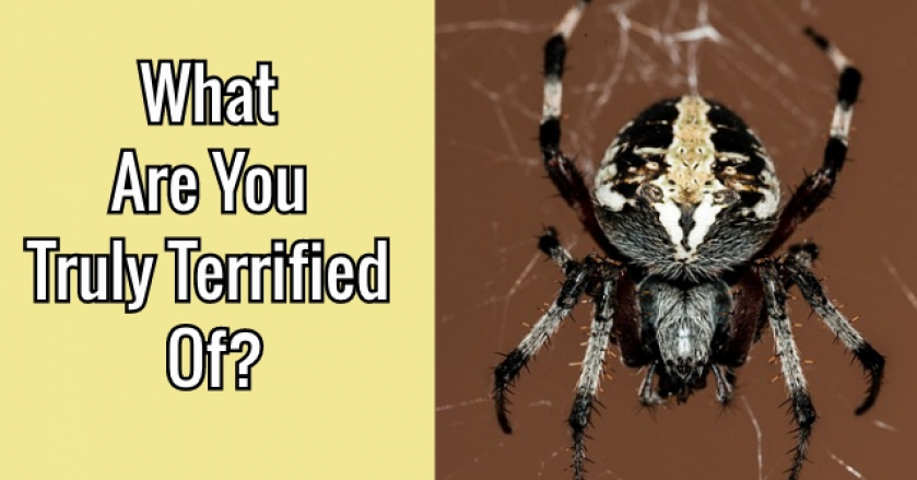 What Are You Truly Terrified Of?