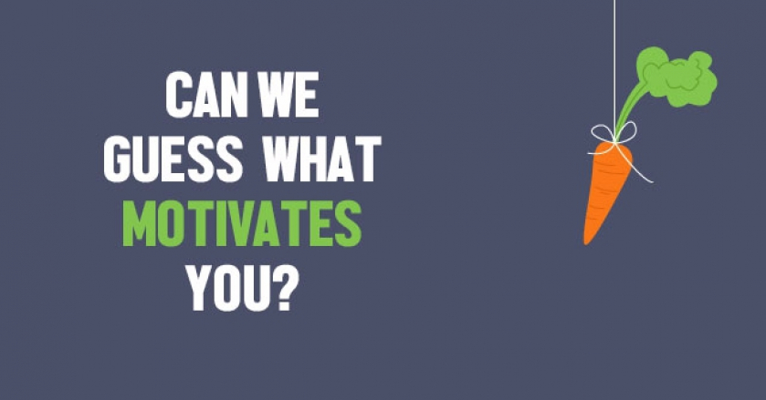 Can We Guess What Motivates You?
