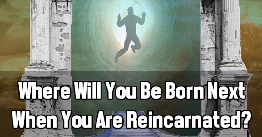 Where Will You Be Born Next When You Are Reincarnated?