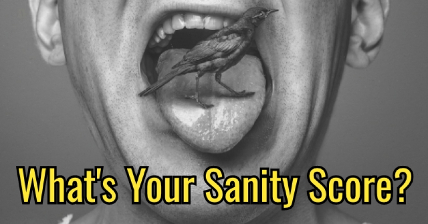 What’s Your Sanity Score?