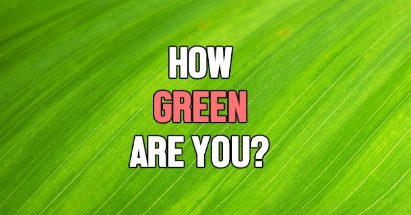 How Green Are You?
