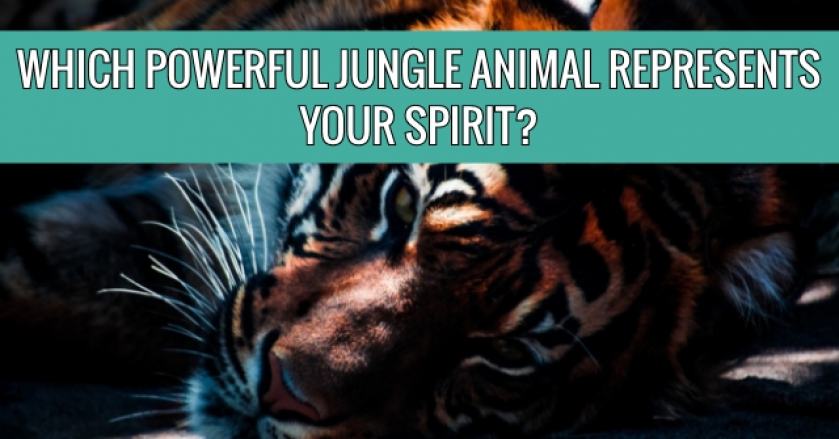 Which Powerful Jungle Animal Represents Your Spirit?