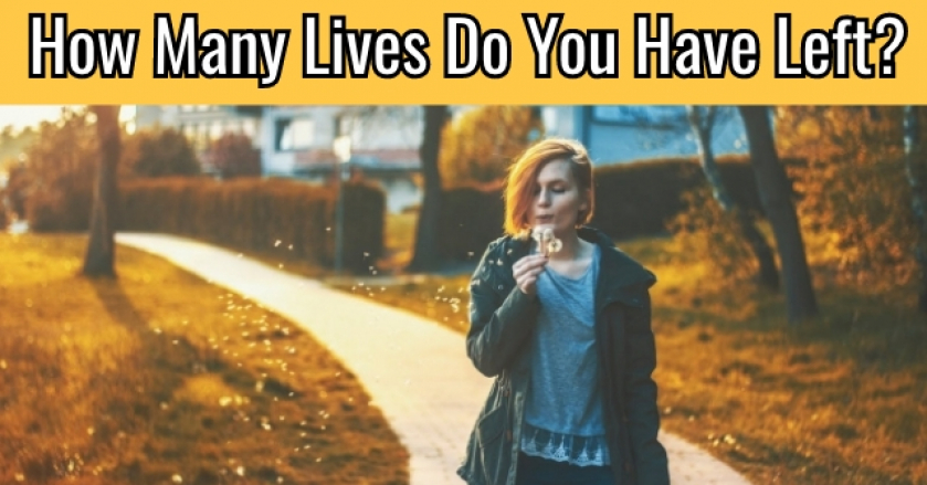 How Many Lives Do You Have Left?