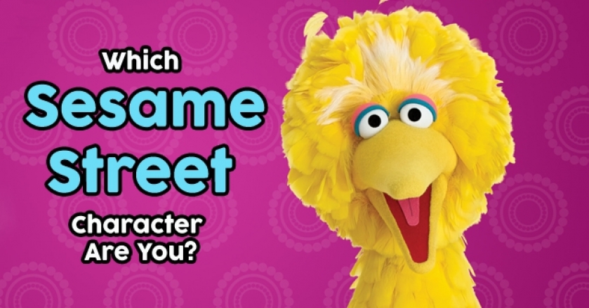 Which Sesame Street Character Are You?