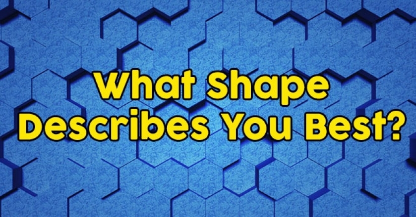 What Shape Describes You Best?