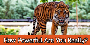 How Powerful Are You Really?