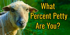 What Percent Petty Are You?
