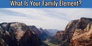 What Is Your Family Element?