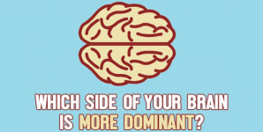 Which Side Of Your Brain Is More Dominant?