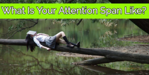 What Is Your Attention Span Like?
