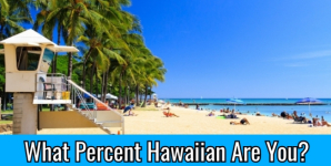 What Percent Hawaiian Are You?