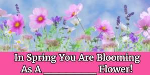 In Spring You Are Blooming As A __________ Flower!