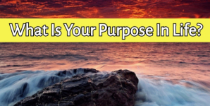 What Is Your Purpose In Life?