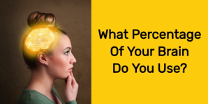 What Percentage Of Your Brain Do You Use?