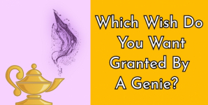 Which Wish Do You Want Granted By A Genie?